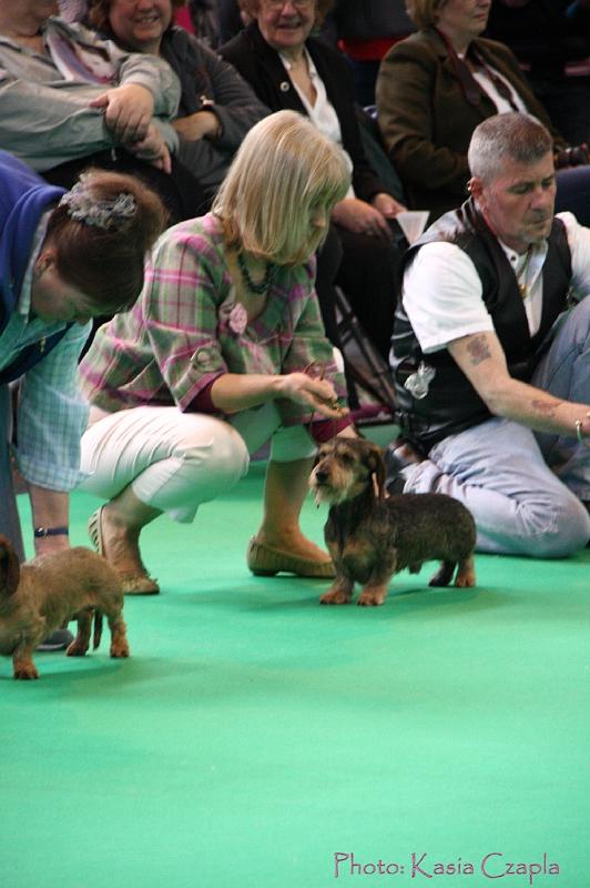 Crufts2011_2 576.jpg